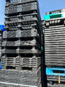 large quantity plastic pallet skid for sale 905-670-9049 - Photo 3