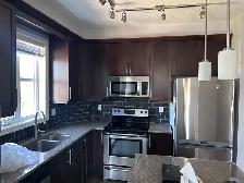 A apartment for rent
