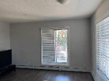 A apartment for rent - Photo 5