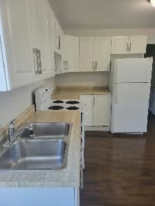 Brand New and Newly Renovated 1 & 2 Bedroom apartments - Photo 6