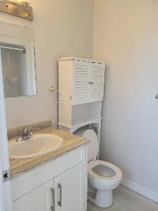 Brand New and Newly Renovated 1 & 2 Bedroom apartments - Photo 7