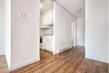The 1350 Dufort Apartments - Bachelor Apt in Montreal for Rent - Photo 8