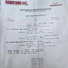 Purebred Registered Hereford Bull for Sale $5500 - Photo 4