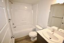 Beaumont 1 Bed 1 Bath Suite For Rent - Photo 8