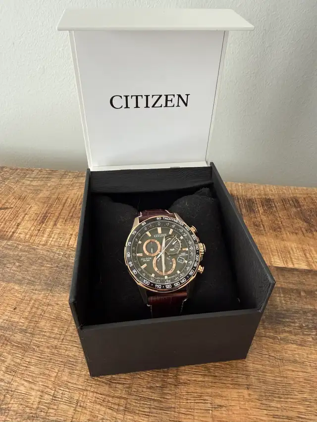 Citizen Eco Drive PCAT Perpetual Chronograph Watch - 43mm