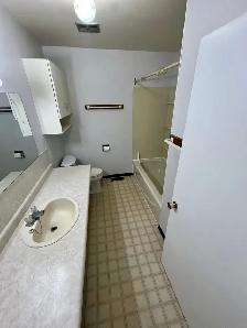 FURNISHED SPACIOUS UPDATED UPPER LEVEL  IN CASTLEGAR 2BED 1 BATH - Photo 3