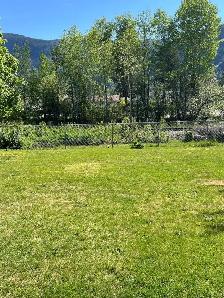 FURNISHED SPACIOUS UPDATED UPPER LEVEL  IN CASTLEGAR 2BED 1 BATH - Photo 5