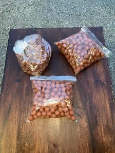 fishing bait
