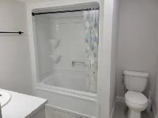 BRAND NEW & NEWLY  RENOVATED 1 & 2 BEDROOMS - Photo 3