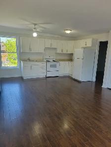 BRAND NEW & NEWLY  RENOVATED 1 & 2 BEDROOMS - Photo 8