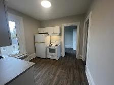 BRAND NEW & NEWLY  RENOVATED 1 & 2 BEDROOMS - Photo 11