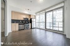 65 BREMNER BLVD -MAPLE LEAF SQUARE - 1 BEDROOM W/BALCONY CN TOWE - Photo 2