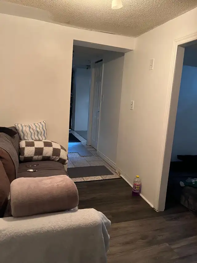1 bedroom basement apartment for rent