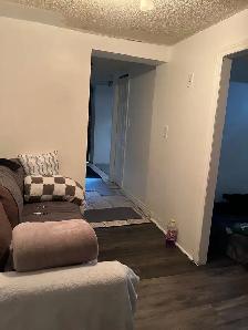 1 bedroom basement apartment for rent