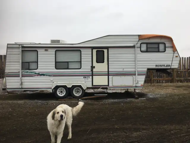 Looking to trade RV for goats or sheep