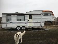 Looking to trade RV for goats or sheep