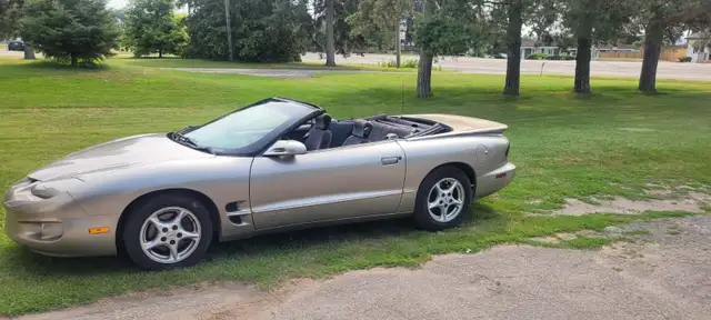 1999 Pontiac Firebird Convertible