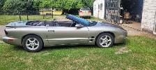 1999 Pontiac Firebird Convertible - Photo 3
