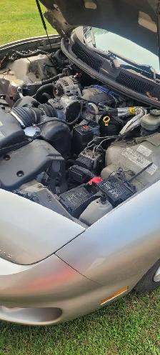 1999 Pontiac Firebird Convertible - Photo 4