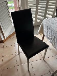 Dining Chair