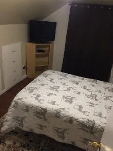 Room for Rent - Photo 4