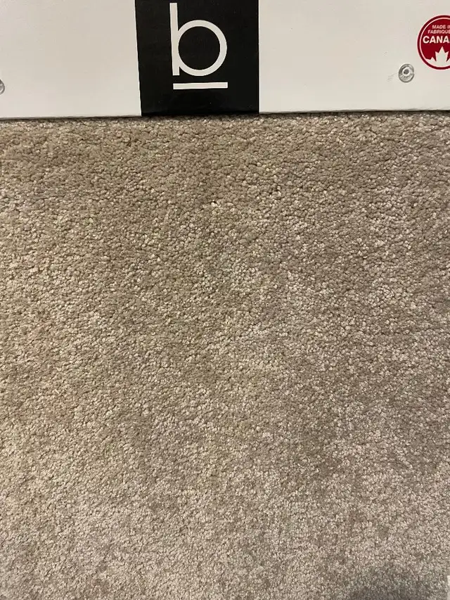 Carpet Flooring