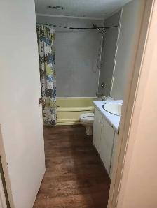 2 Bedroom basement/bi-level suite in lakeview - Photo 5