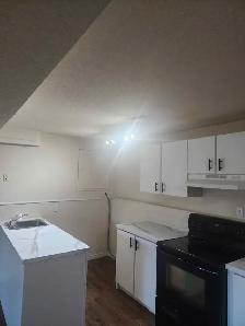 2 Bedroom basement/bi-level suite in lakeview - Photo 6