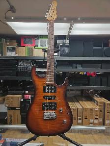 Guitare électrique Godin   case