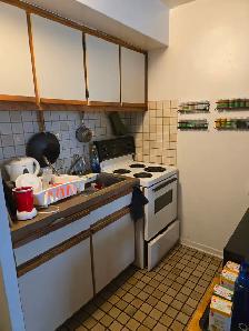 Apartment for lease transfer - 3.5 Place Des Arts - Photo 5