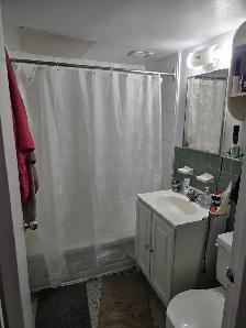 Apartment for lease transfer - 3.5 Place Des Arts - Photo 8