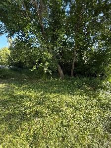 VL in Point Douglas! Great Opportunity for Builders/Investors!