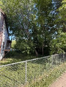 VL in Point Douglas! Great Opportunity for Builders/Investors! - Photo 2