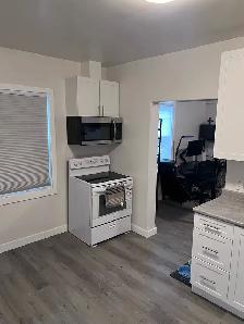 1 Bedroom appt, central Barrie, $1,700/mo, parking incl, Oct 1 - Photo 6