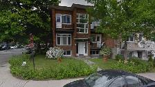petit 1 et demi à Louer Mercier-Est / Tétrauville - Photo 3