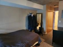 One Bedroom Loft Condo for rent in Toronto - Photo 8
