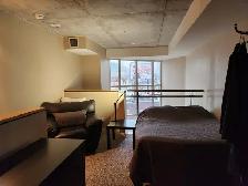 One Bedroom Loft Condo for rent in Toronto - Photo 12