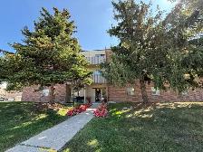 1 Bedroom Suite in Stratford - All inclusive - Photo 2