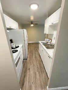 1 Bedroom Suite in Stratford - All inclusive - Photo 3