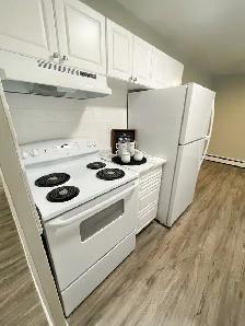 1 Bedroom Suite in Stratford - All inclusive - Photo 5