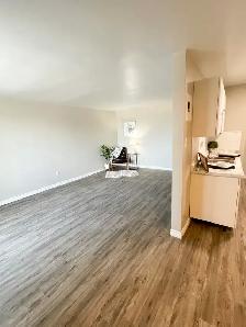 1 Bedroom Suite in Stratford - All inclusive - Photo 7