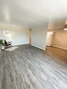 1 Bedroom Suite in Stratford - All inclusive - Photo 9