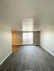 1 Bedroom Suite in Stratford - All inclusive - Photo 10