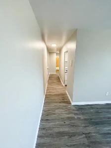 1 Bedroom Suite in Stratford - All inclusive - Photo 11