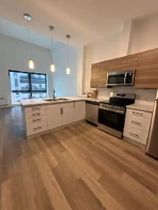 Modern 1 Bedroom in East City All Inclusive for October 1st