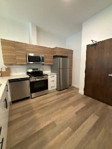 Modern 1 Bedroom in East City All Inclusive for October 1st - Photo 3