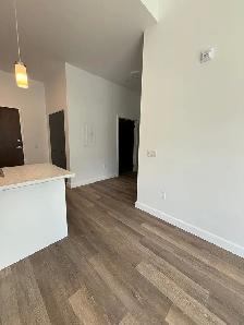 Modern 1 Bedroom in East City All Inclusive for October 1st - Photo 7