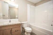 Bachelor Suite for Rent in Desirable Timberstone - Photo 2