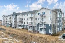 Beautiful 2 Bed 1 Bath - Sylvan Lake