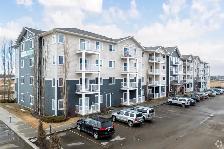 Beautiful 2 Bed 1 Bath - Sylvan Lake - Photo 8